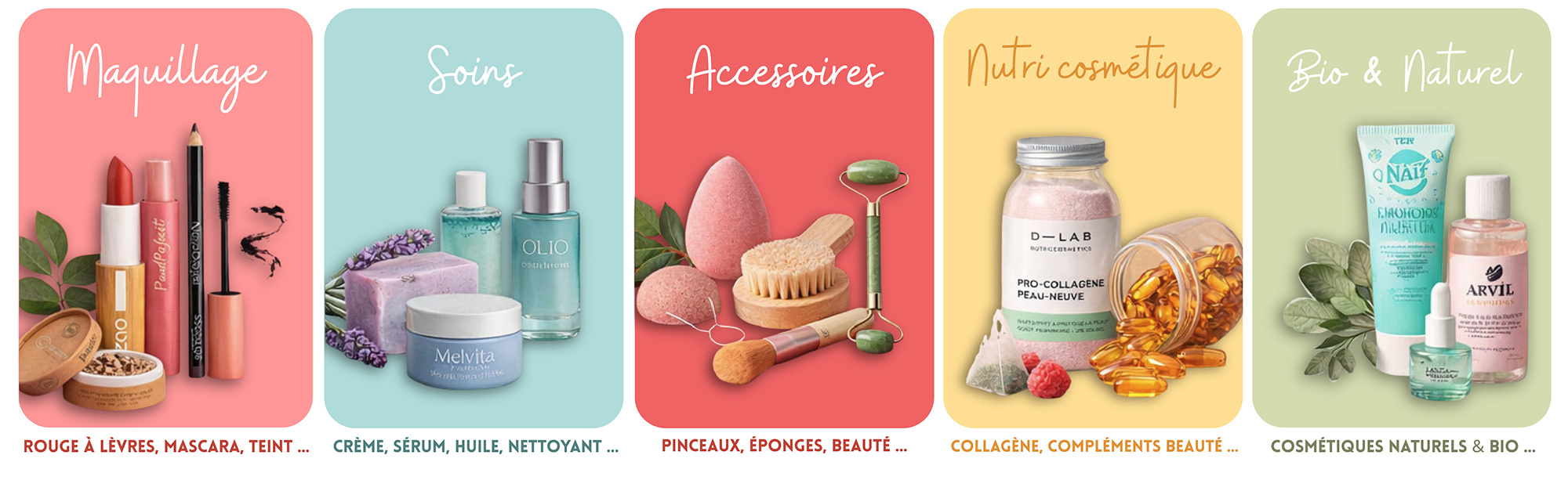 contenu d'une biobox